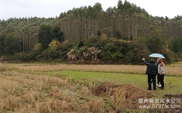 昆明市陈老师带着爱徒寻龙点穴